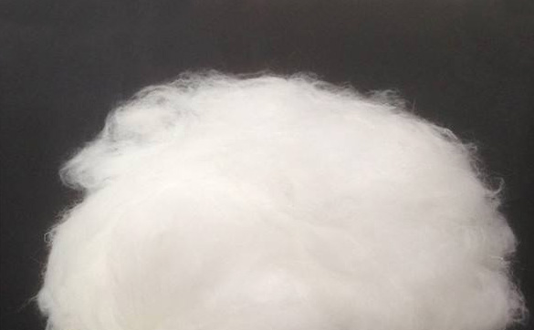 羽绒棉 羽绒棉